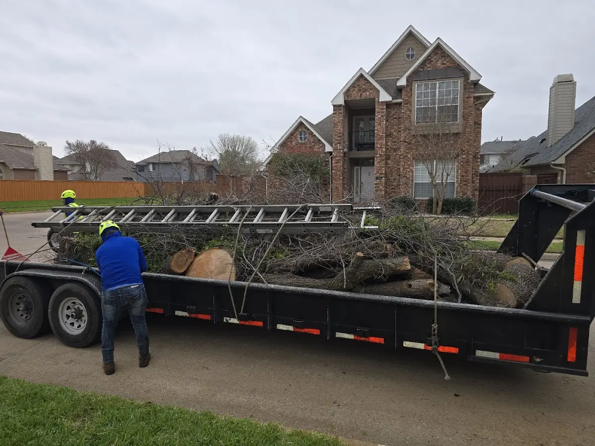 Expert Tree Pest Control with proper safety equipment in Linneus
